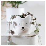 Dog Planter