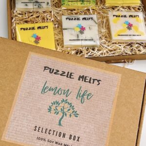 Lemon Life Soy Wax Puzzle Melt Selection Box