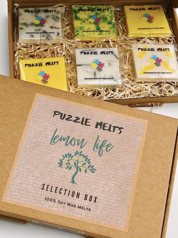 Lemon Life Soy Wax Puzzle Melt Selection Box