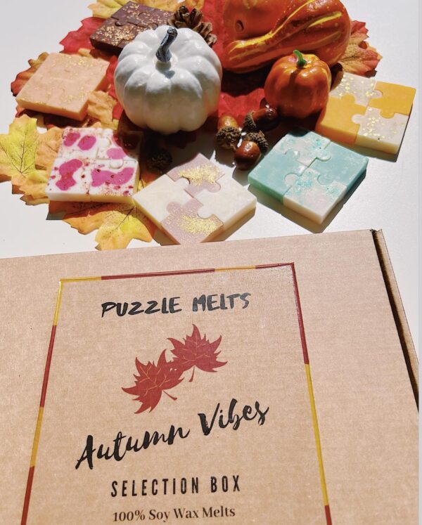 Autumn Vibes Soy Wax Melt Selection Box
