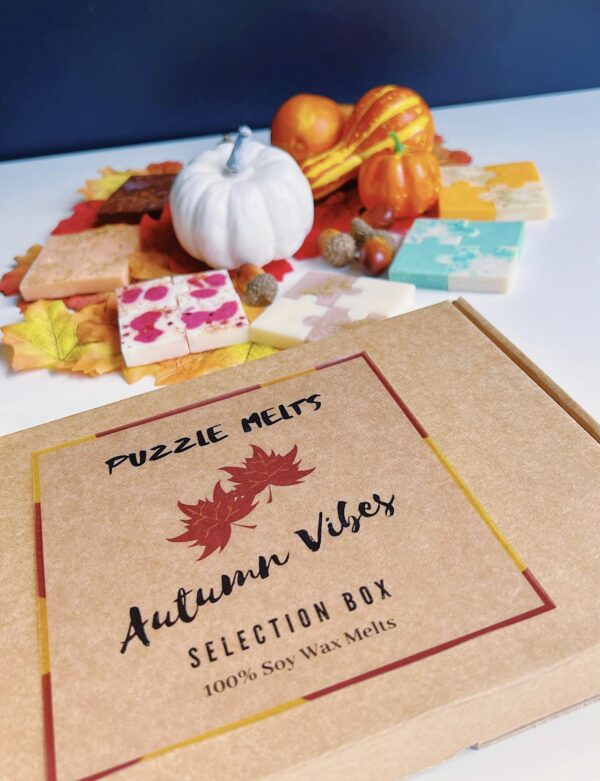Autumn Vibes Soy Wax Melt Selection Box
